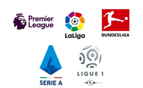 这一决定可 这一决定可